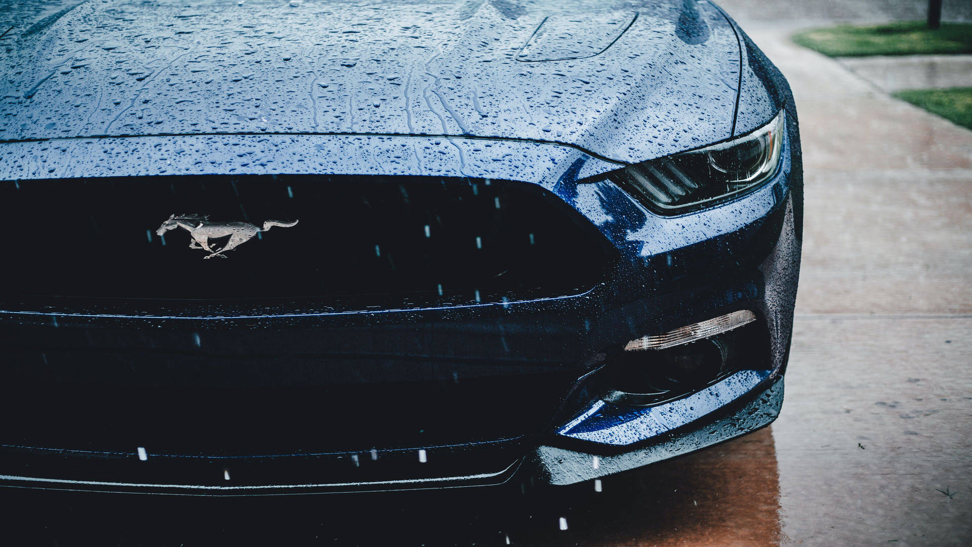 4k Ultra Hd Mustang Front Bumper Background