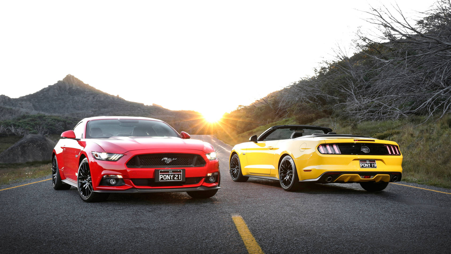 4k Ultra Hd Mustang Red And Yellow Background