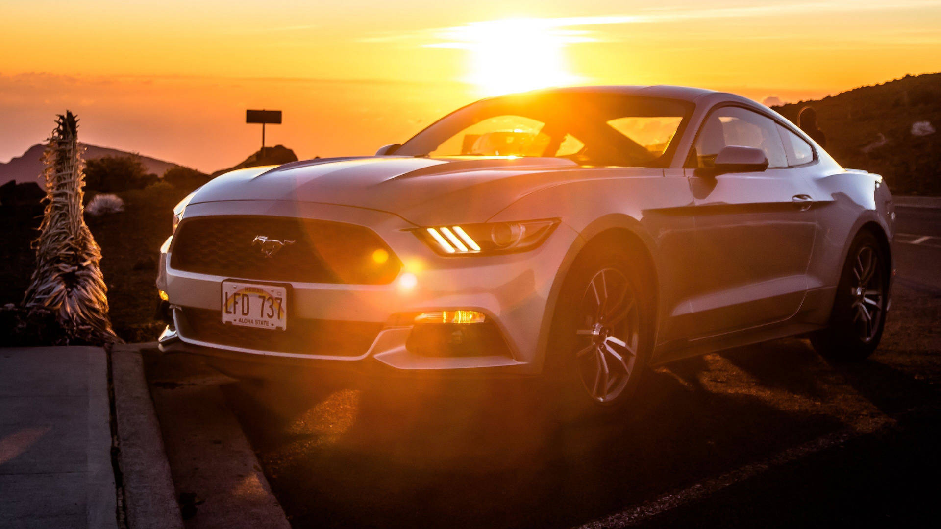 4k Ultra Hd Mustang With Sunset