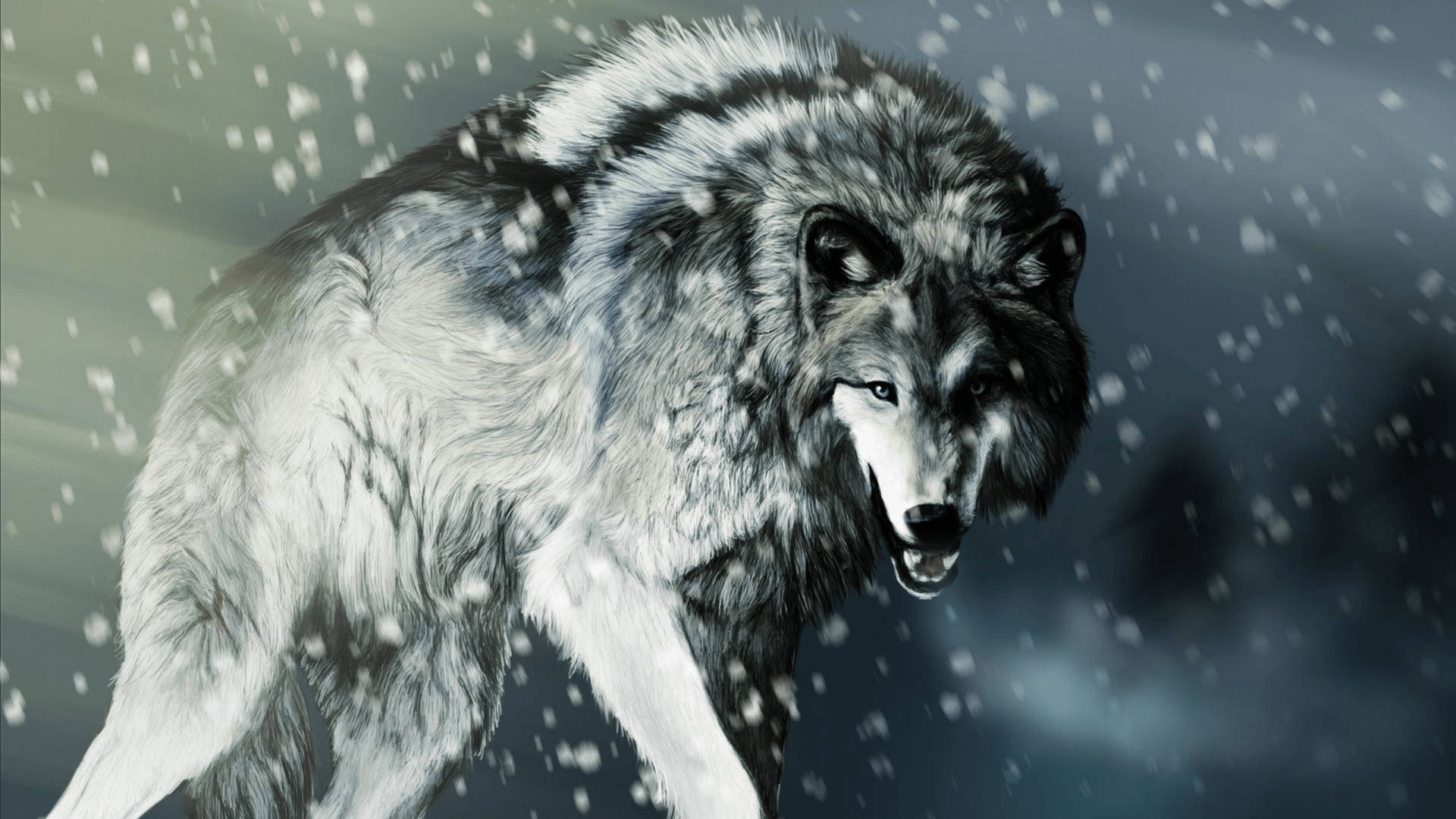 4k Ultra Hd Photo Of Gray Wolf Background