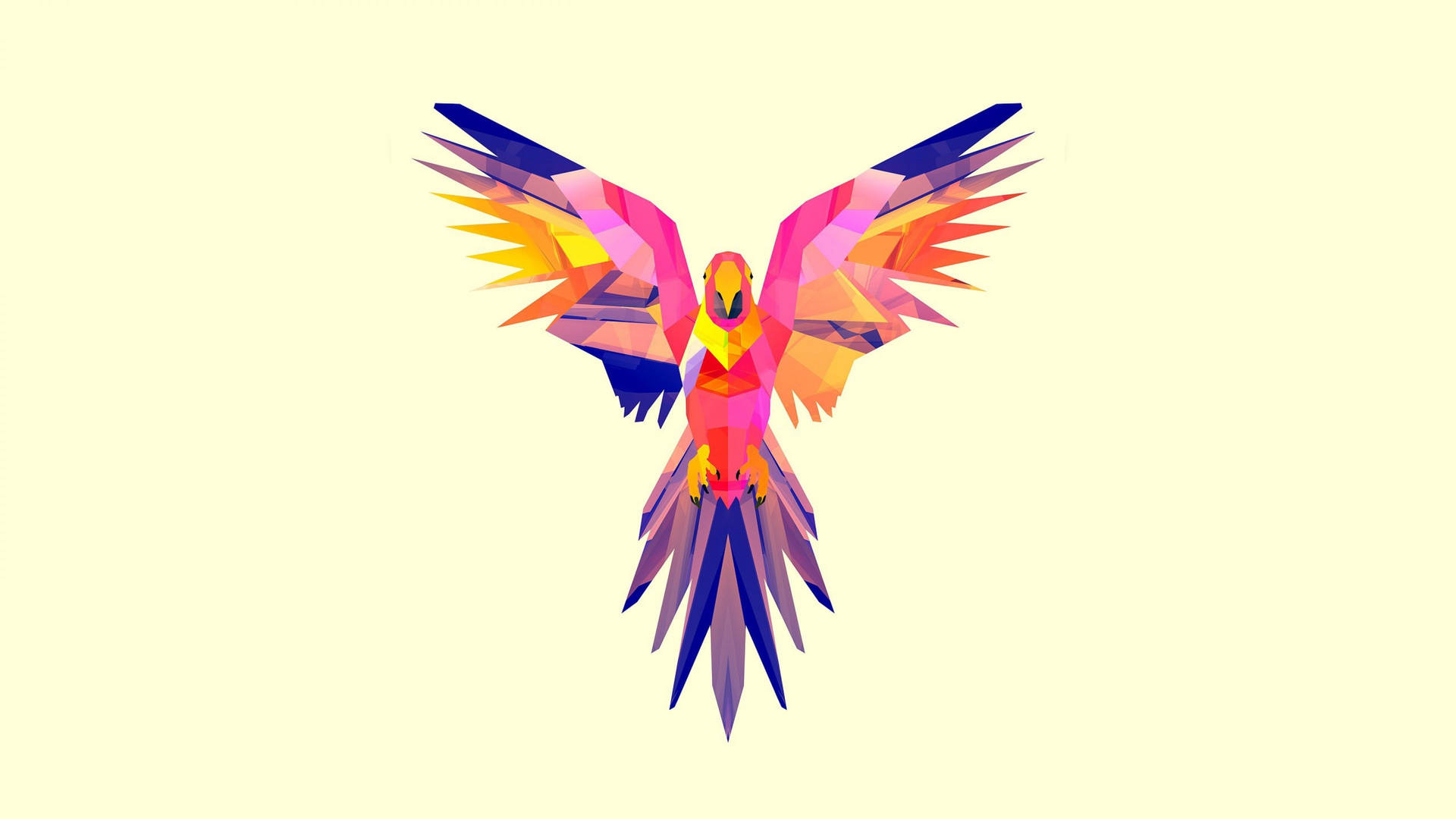 4k Vector Colorful Bird Background