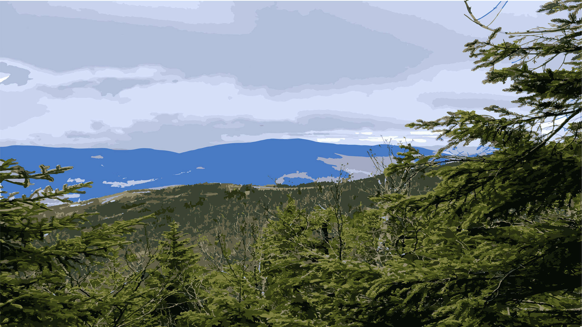 4k Vector View From The Forest Background