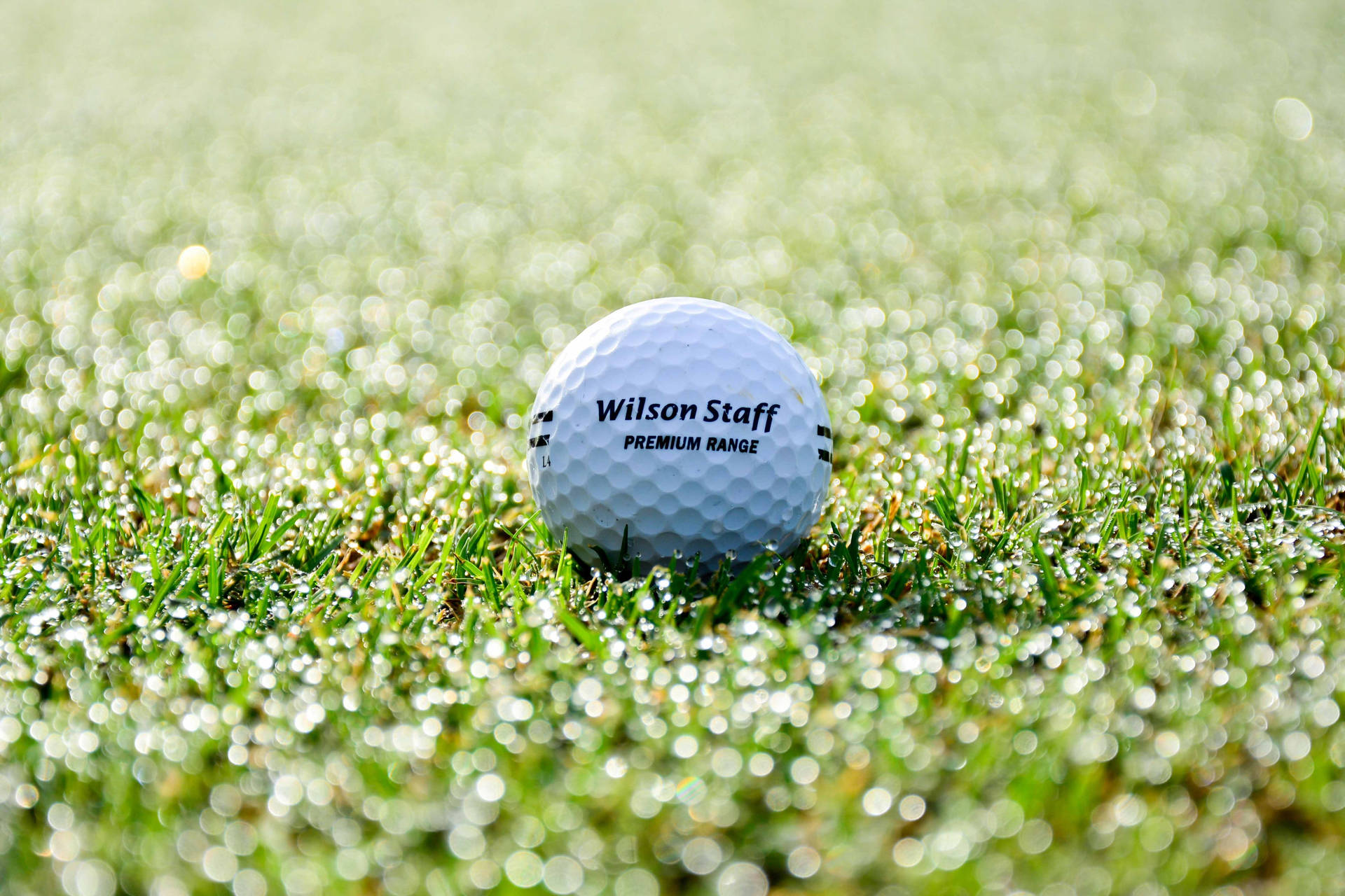4k Wilson Staff Golf Ball