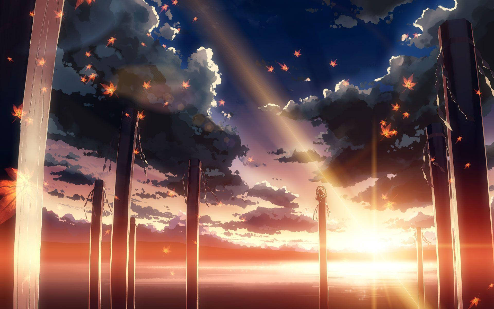 5 Centimeters Per Second Bright Sunset Background
