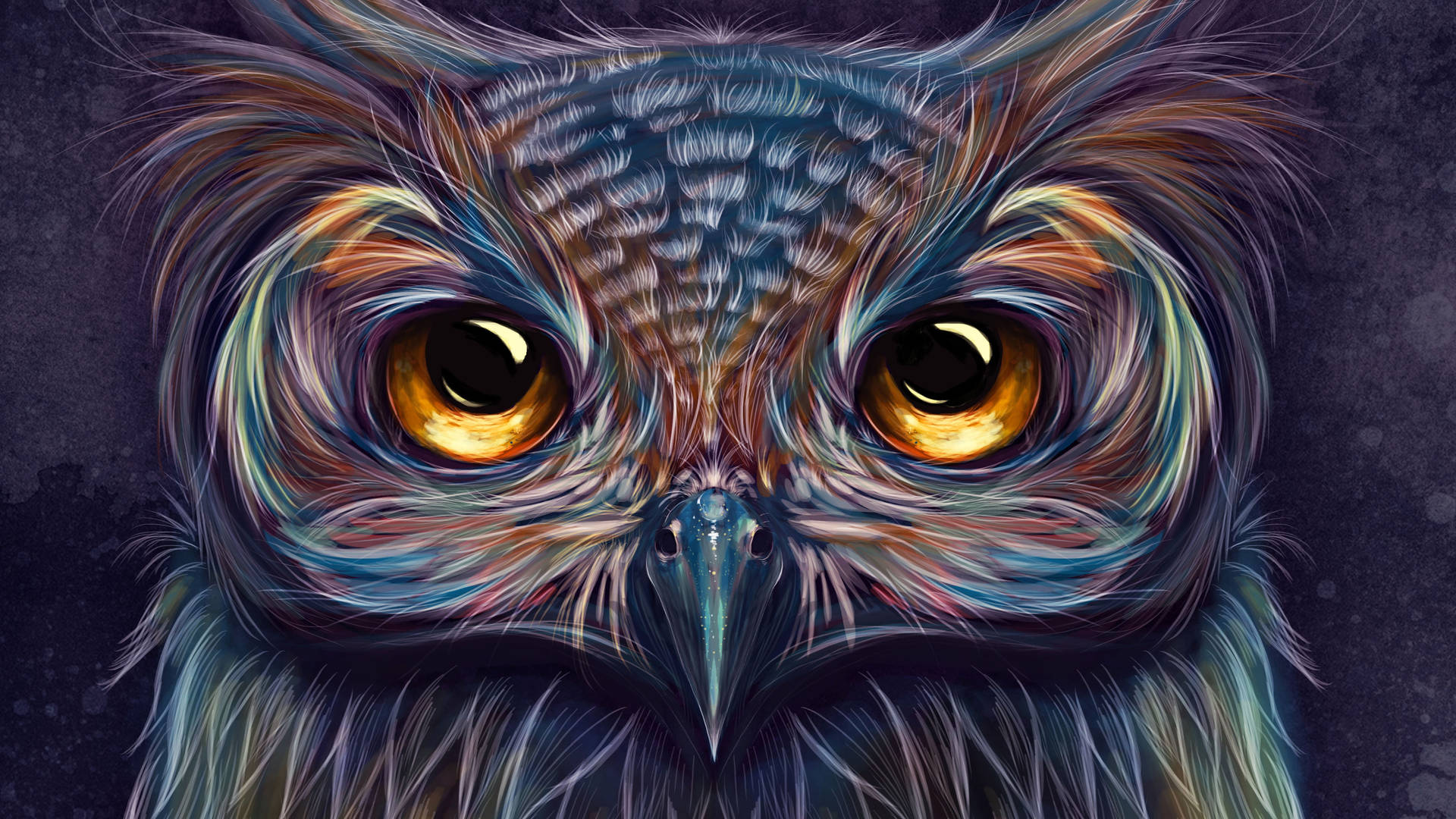 5k Hd Owl Artwork Background