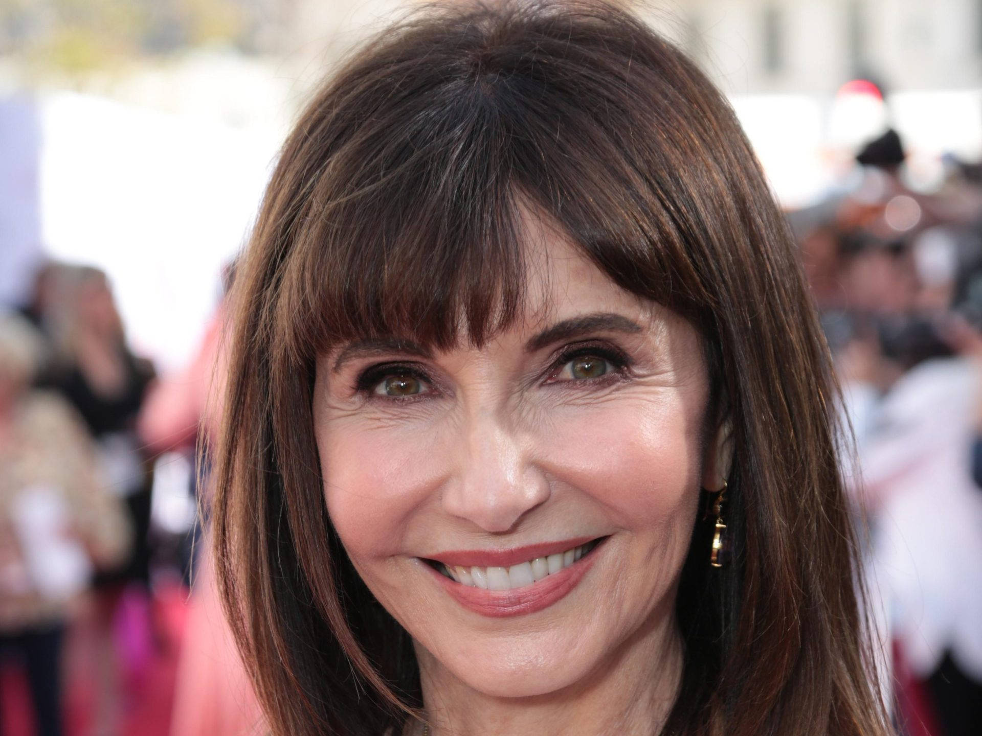 69 Years Old Mary Steenburgen Background