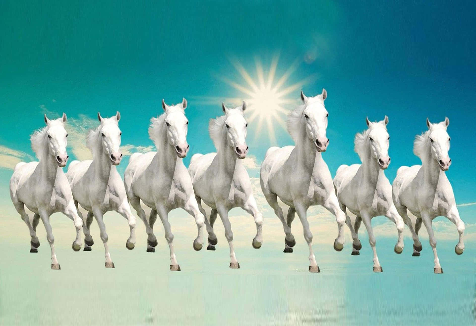 7 White Horses In Sync Background