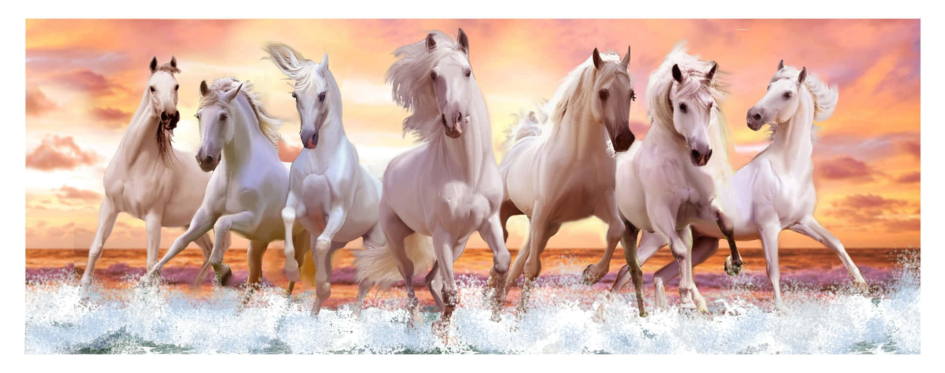 7 White Horses On Sea Shore Background