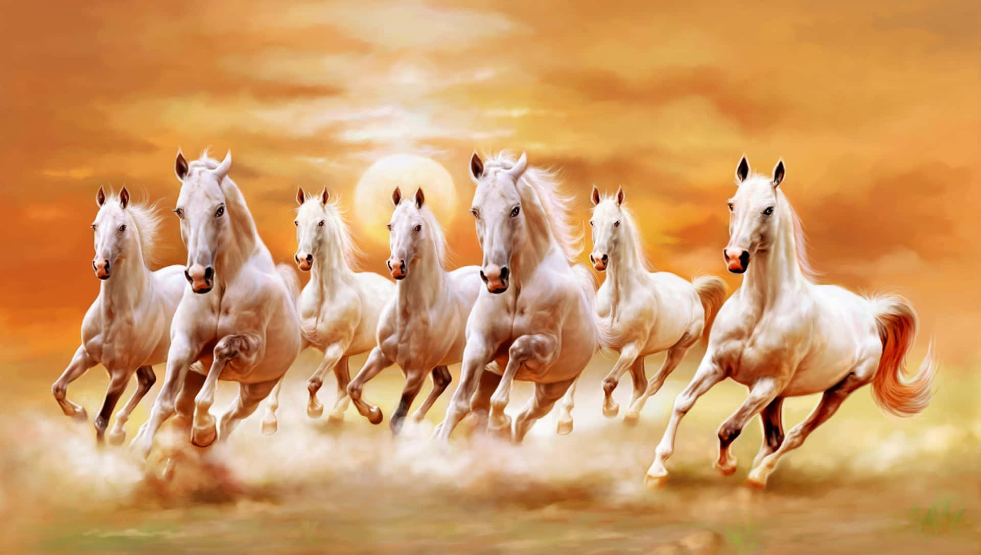 7 White Horses Running Against Sunset Background