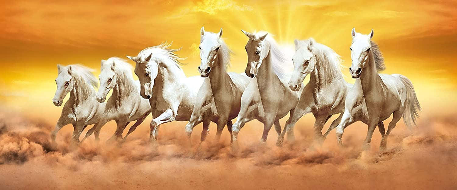 7 White Horses Running Through Brown Mist Background