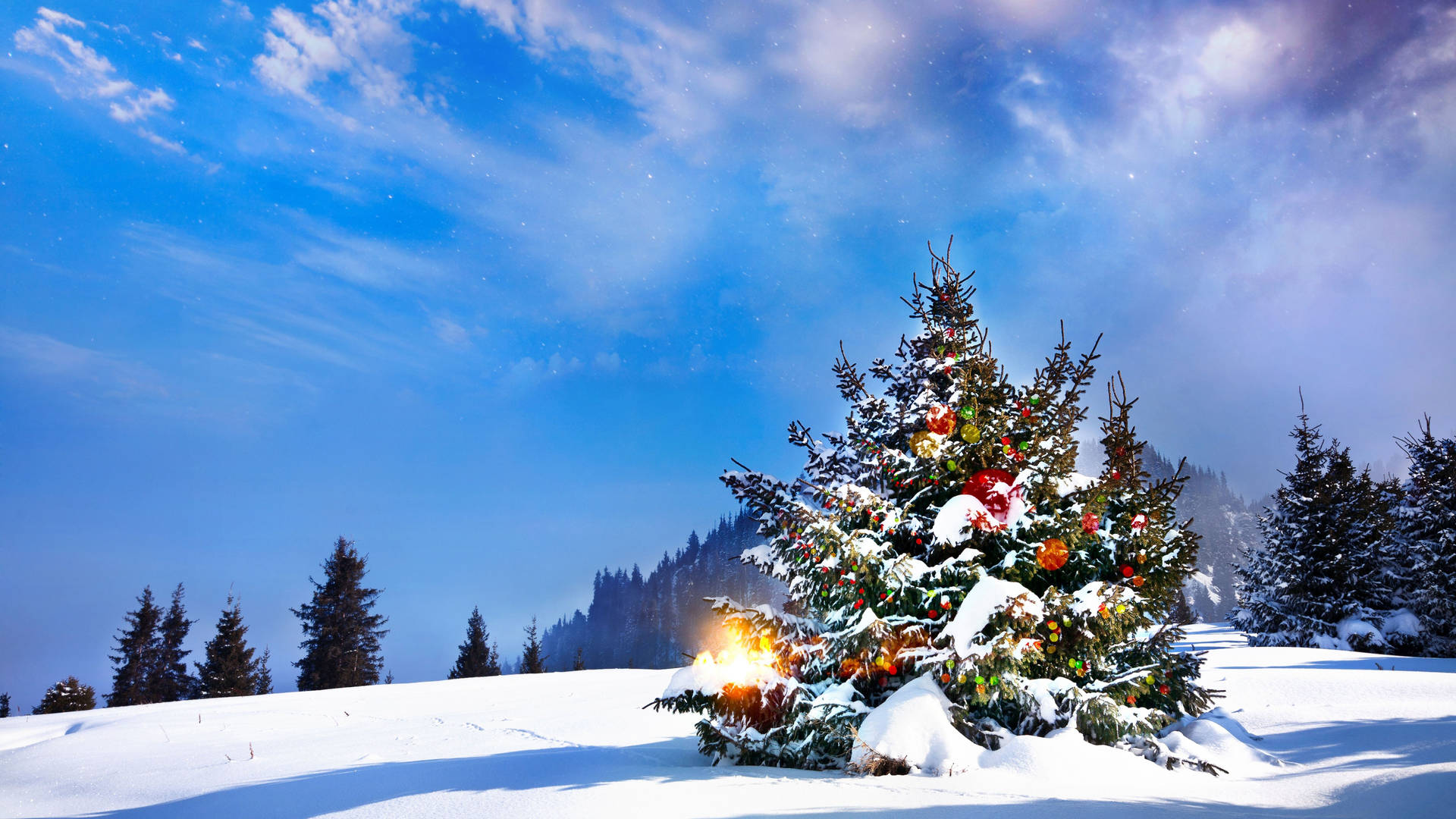8k Christmas Tree Outdoors Background