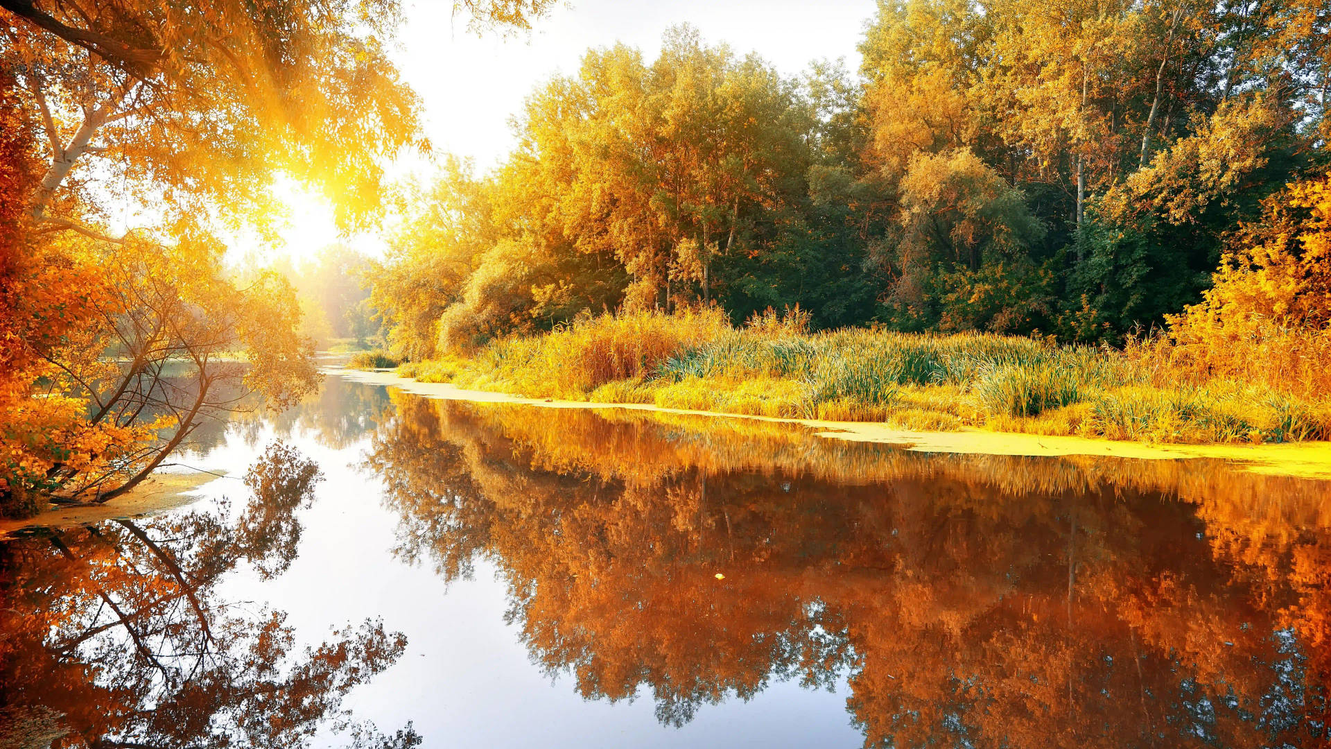 8k Ultra Hd Nature Autumn River Background