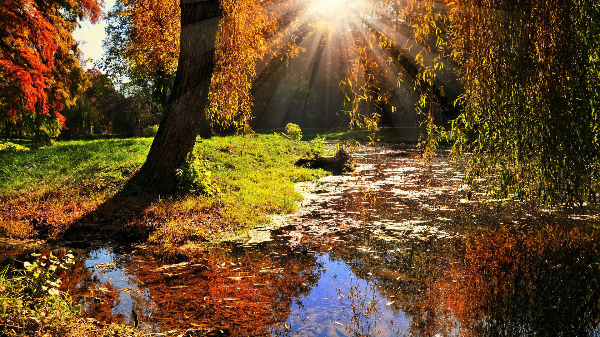 8k Ultra Hd Nature Lagoon Background