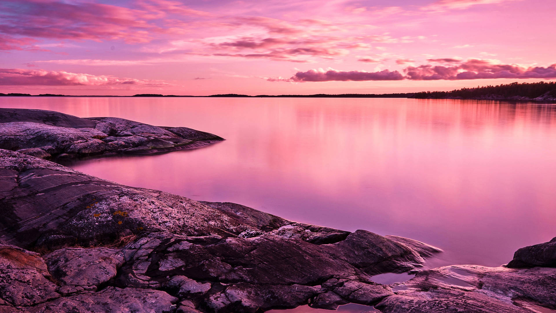 8k Ultra Hd Nature Lakeside Background