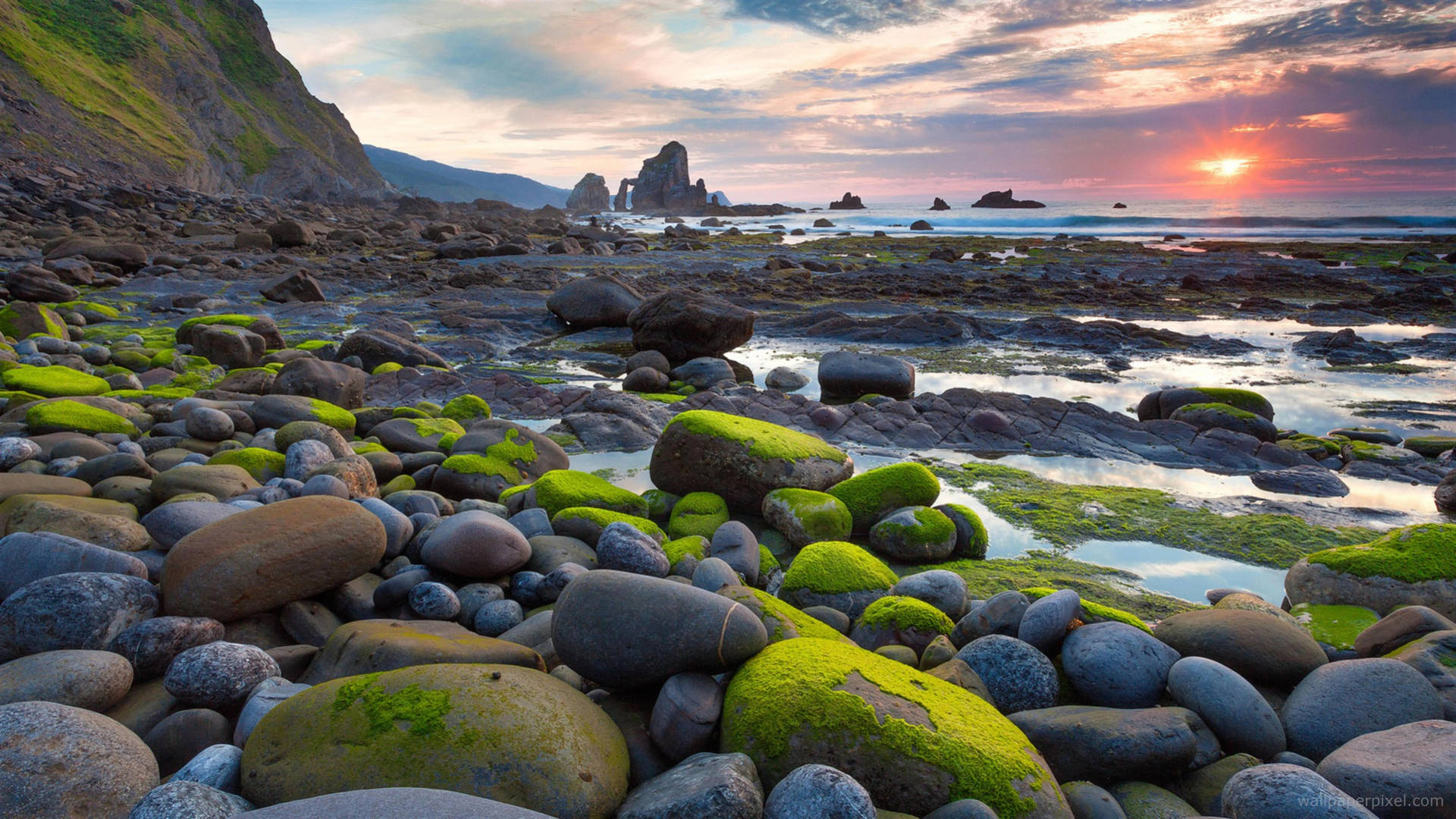 8k Ultra Hd Nature Mossy Seaside Background