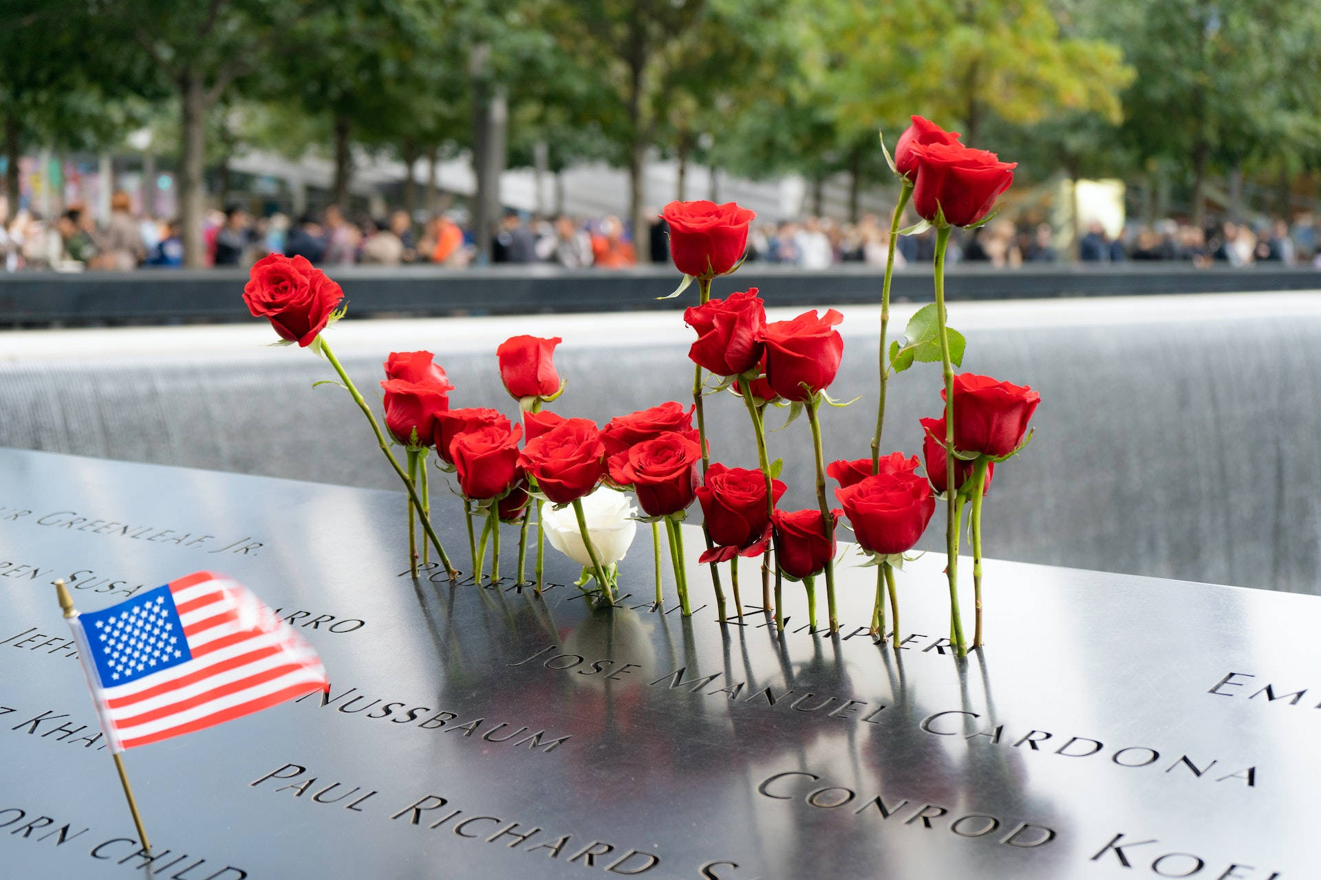 911 Memorial Standing Roses Background