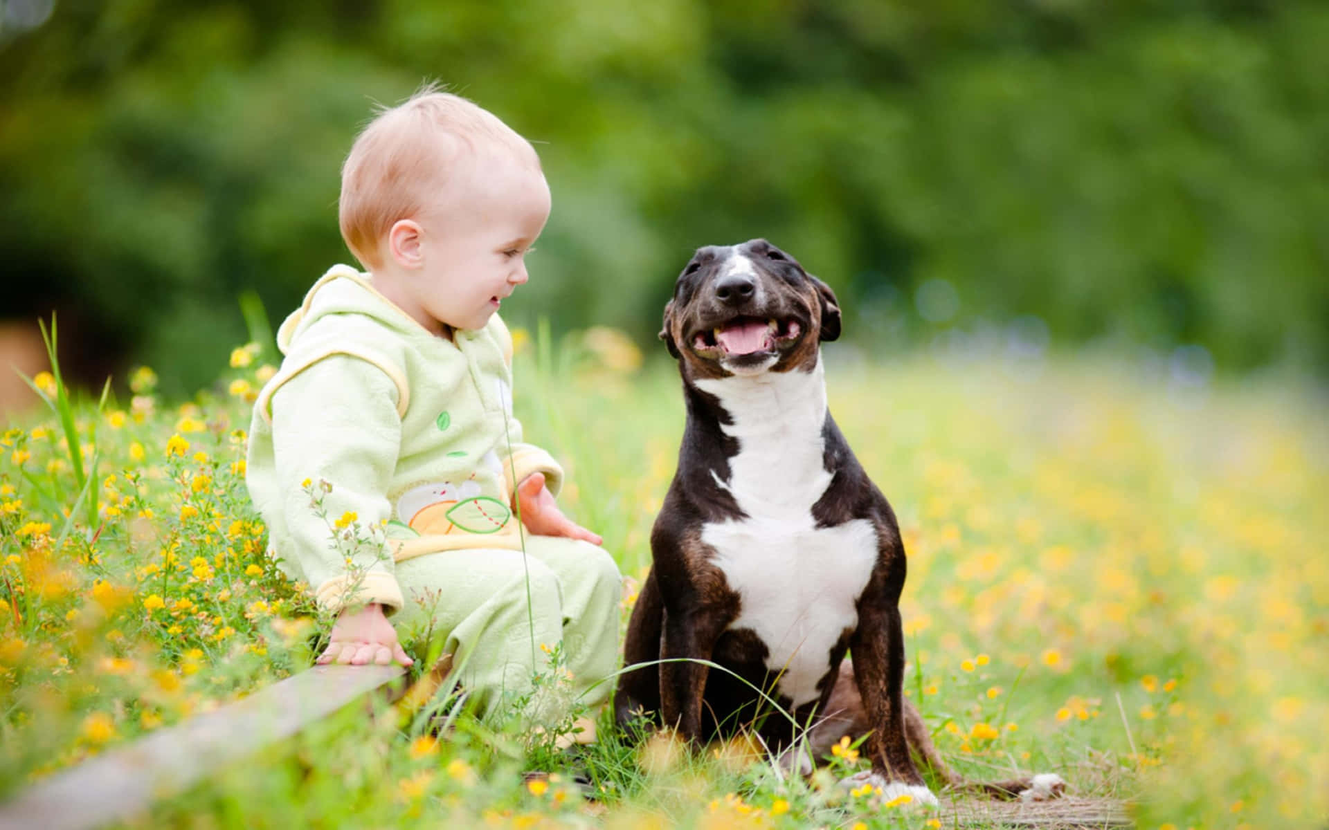 A Baby Sitting Next To A Dog In A Field Background