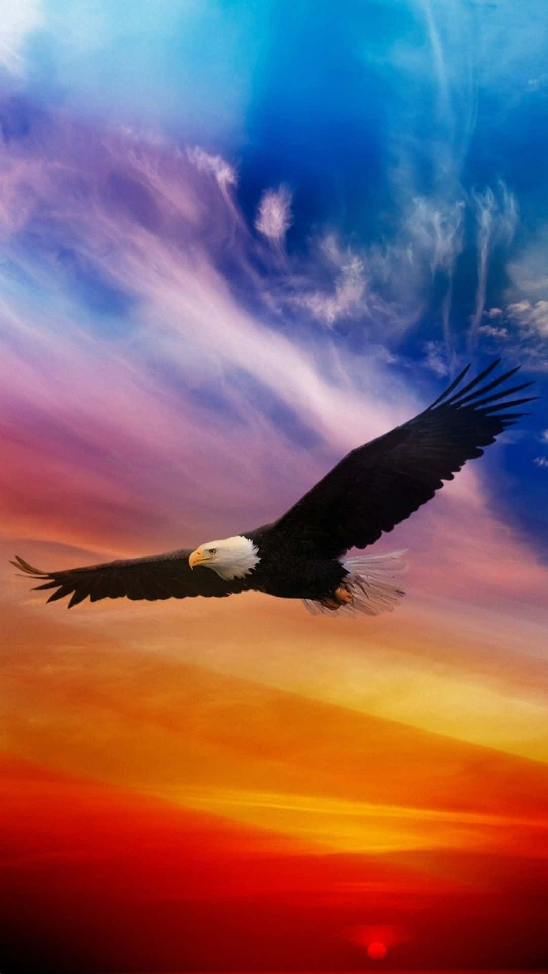 A Bald Eagle Flying In The Sky With Colorful Sunset