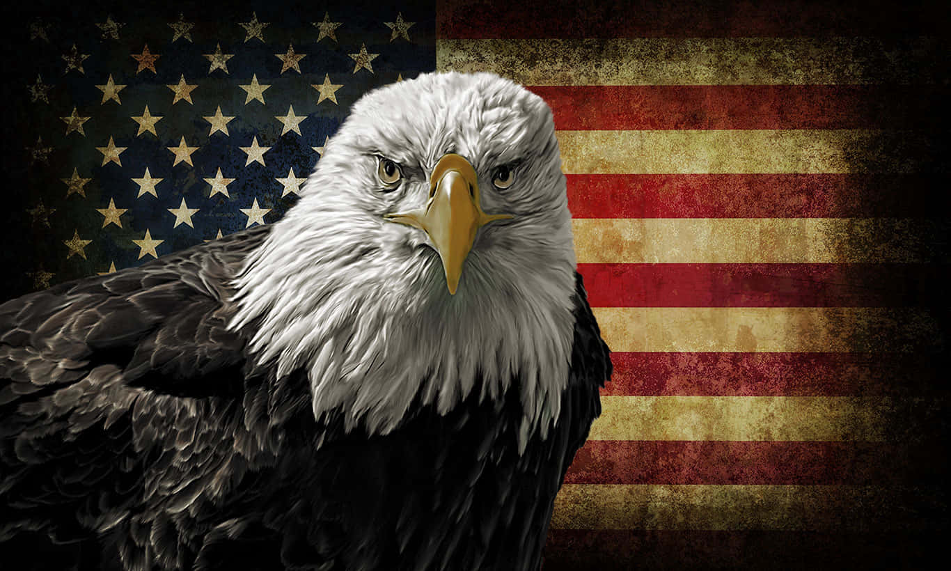 A Bald Eagle Is Standing In Front Of An American Flag Background