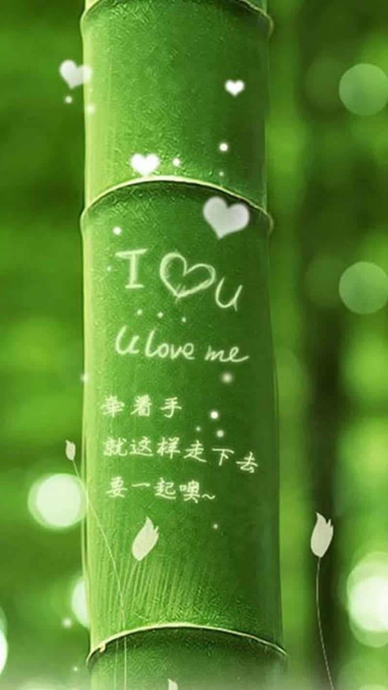 A Bamboo Tree With A Sign Saying I Love You Background
