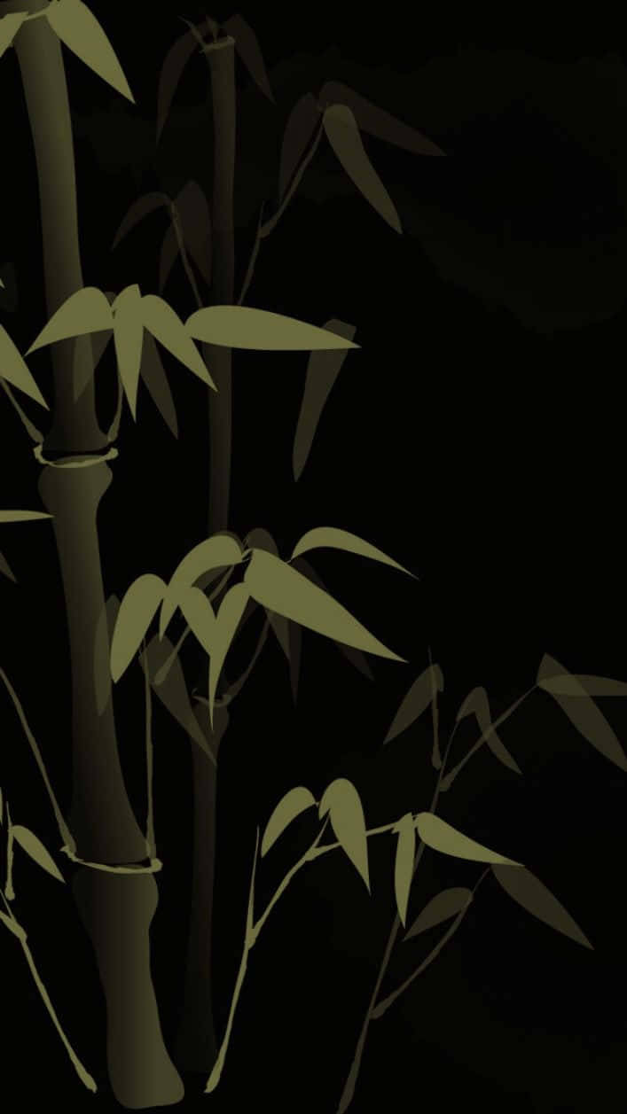 A Bamboo Tree With Leaves On A Black Background Background