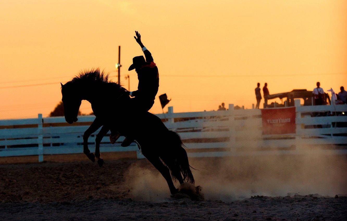 A Barrel Racer In Full Speed!