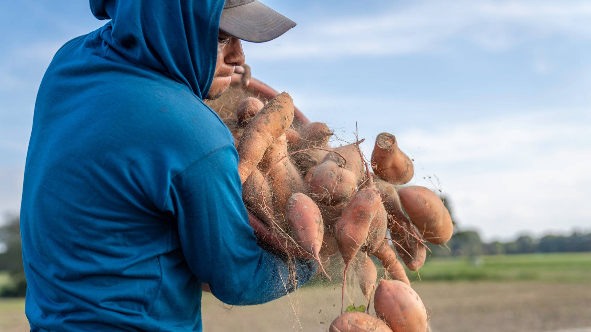 A Basket Full Of Sweet Potatoes