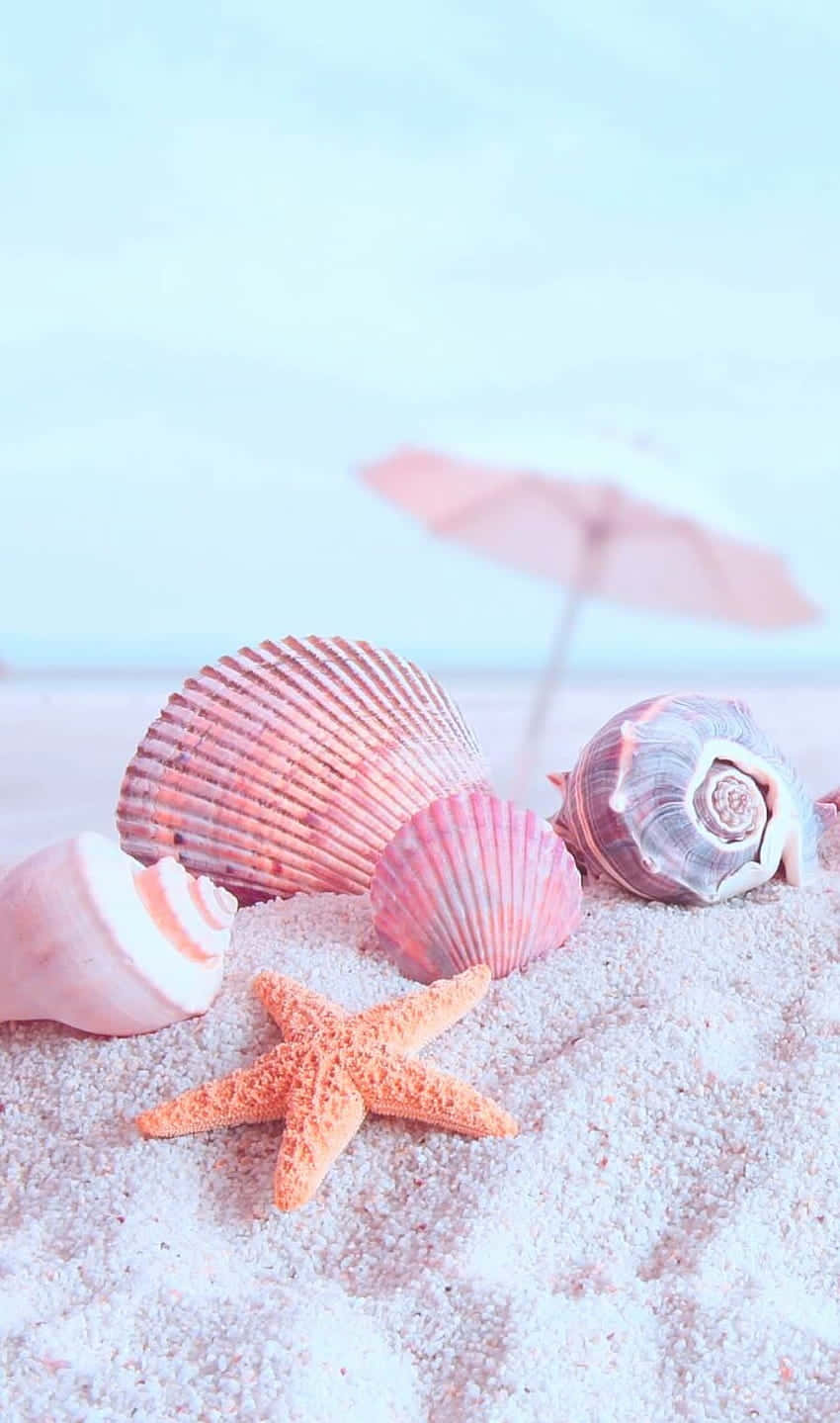 A Beach Scene With Shells And An Umbrella Background