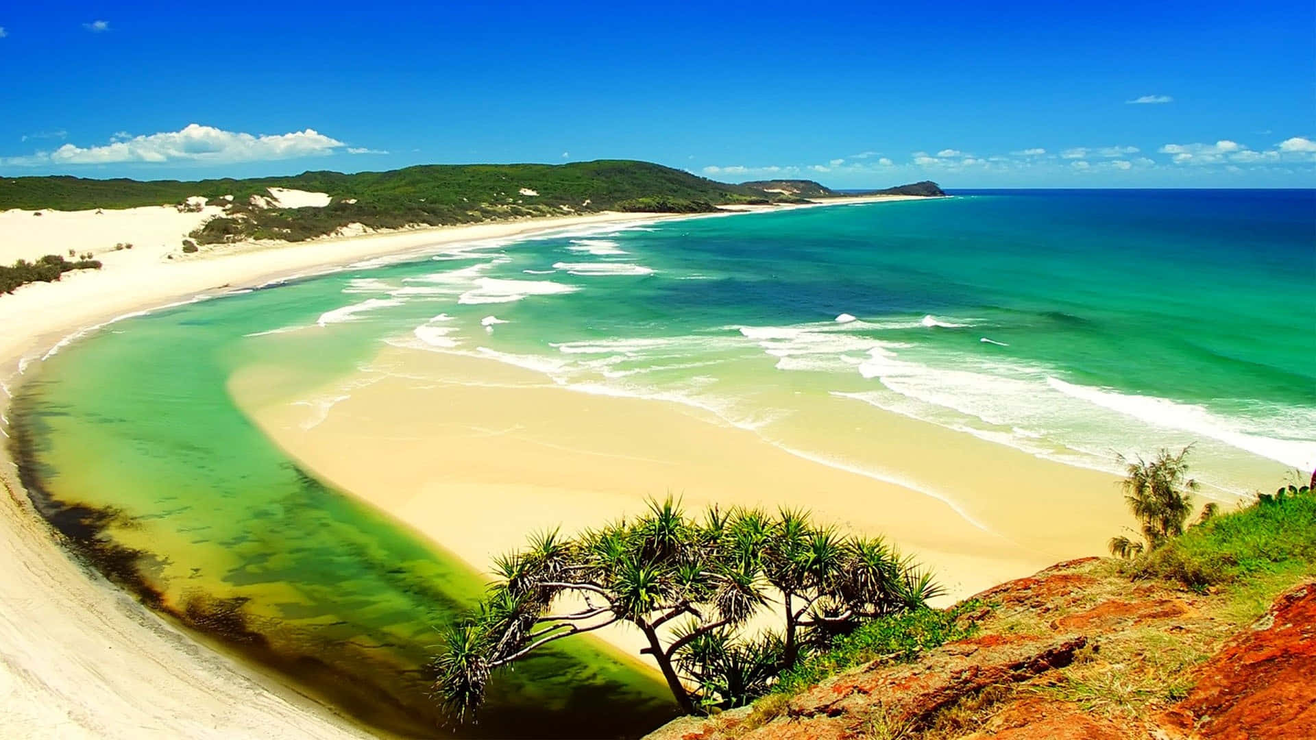 A Beach With A Green Tree And A Blue Ocean Background