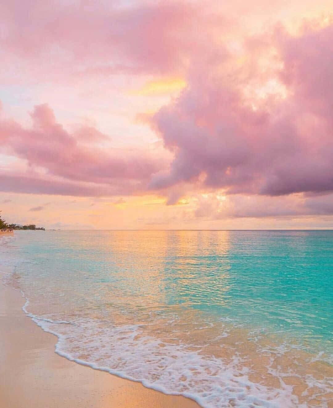 A Beach With A Pink Sunset And Water Background