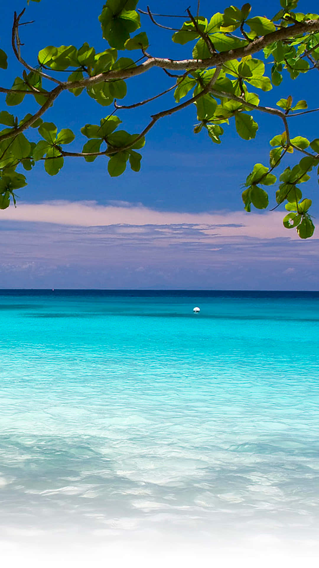 A Beach With Blue Water And Green Leaves Background