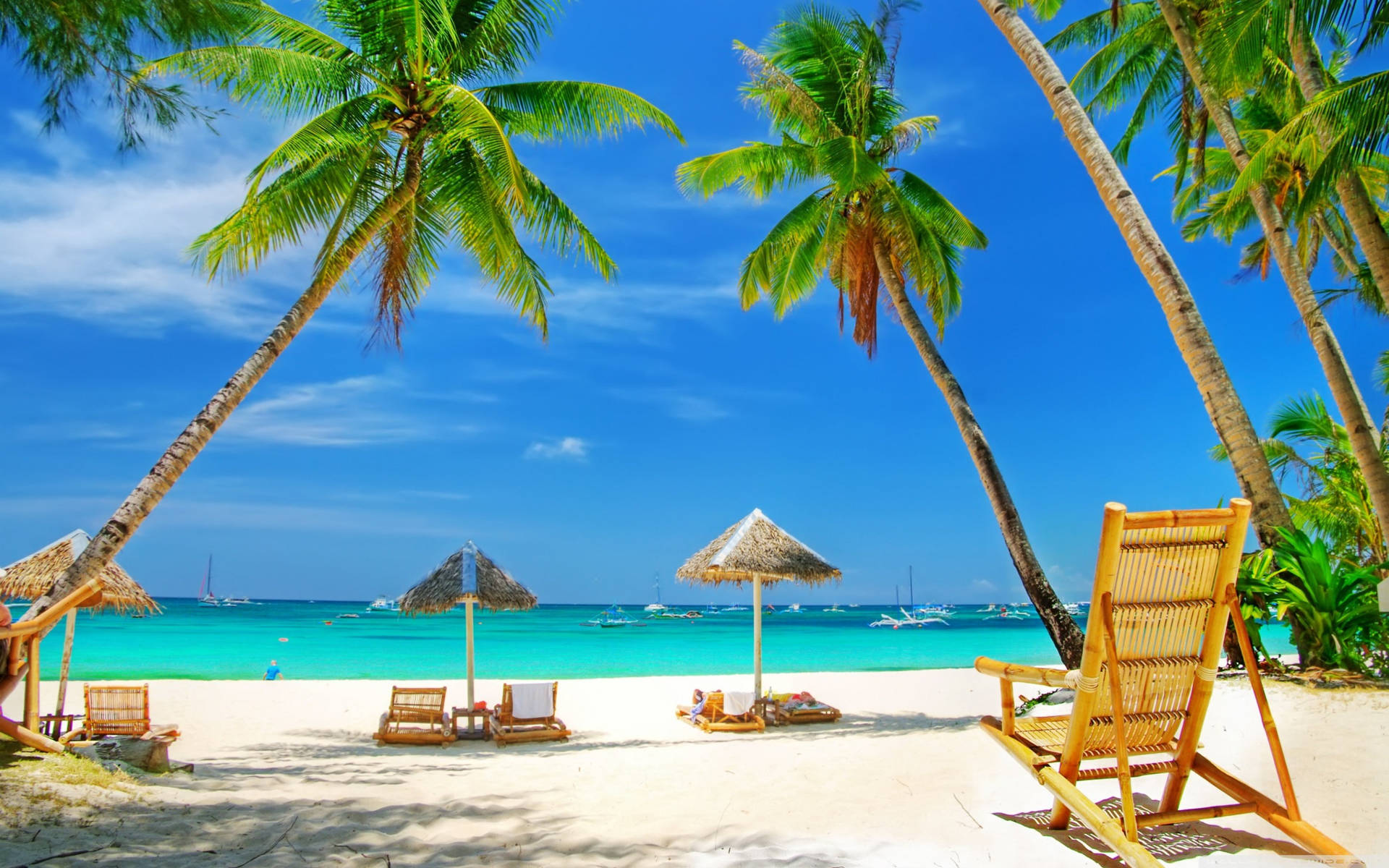 A Beach With Chairs And Umbrellas Under Palm Trees Background