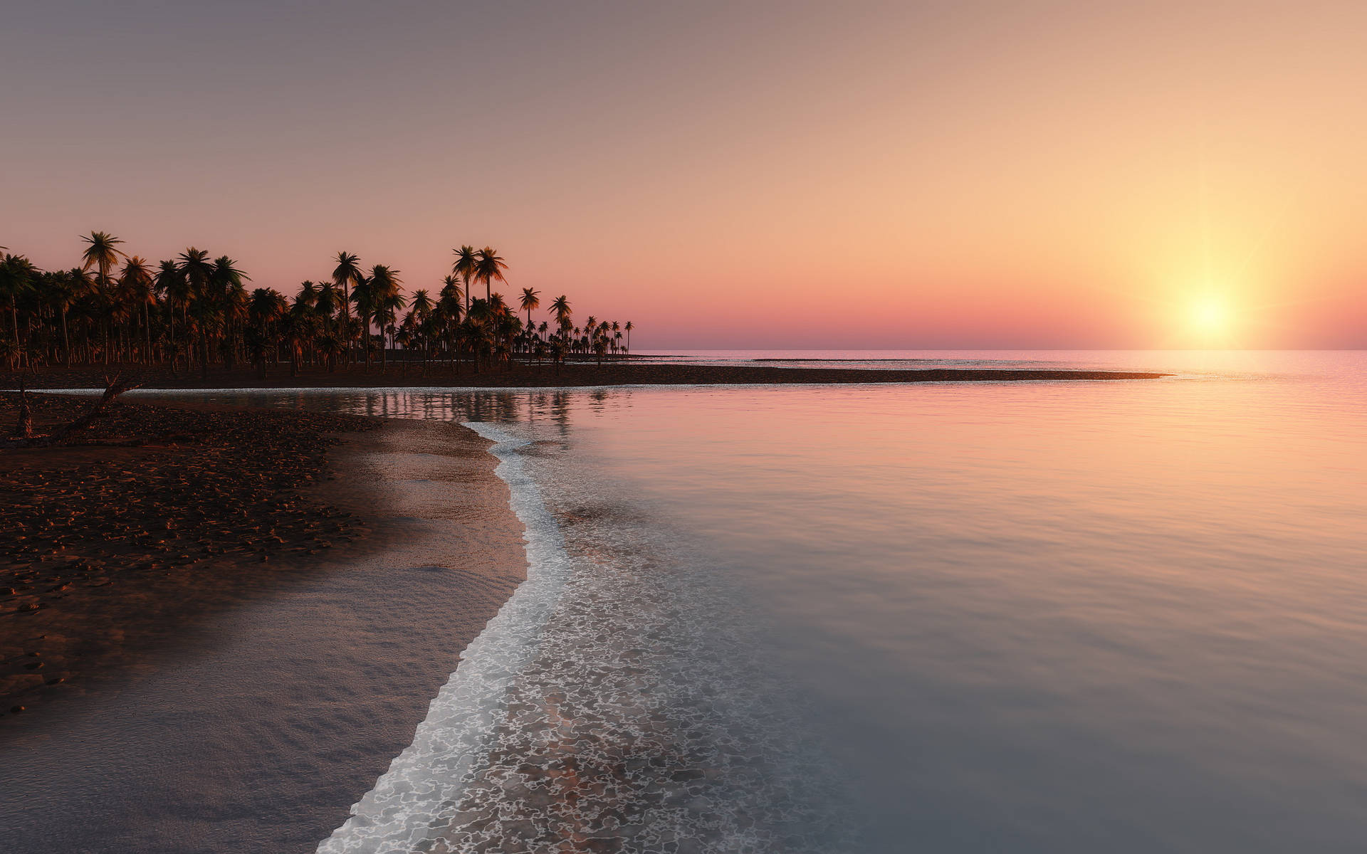 A Beach With Palm Trees Background