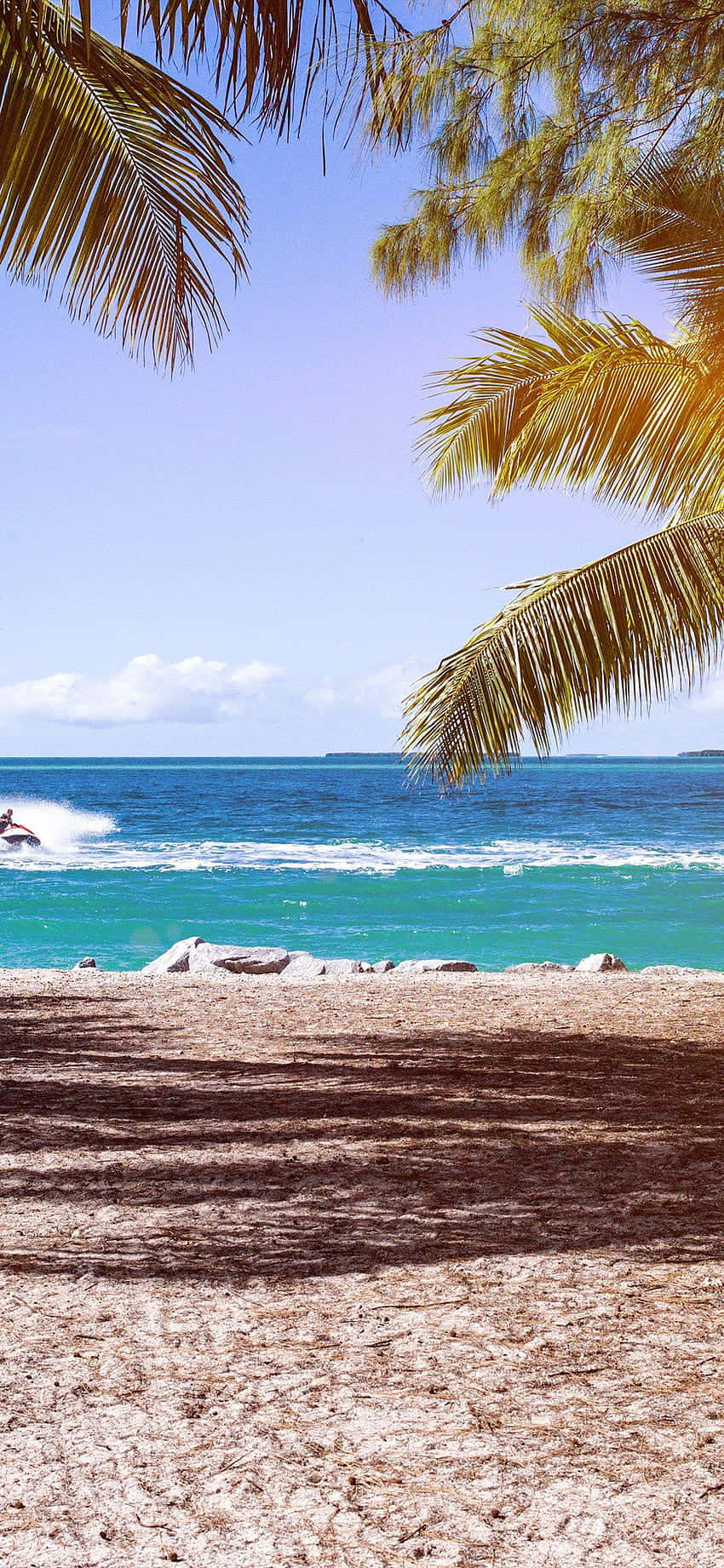 A Beach With Palm Trees And A Beach Ball Background