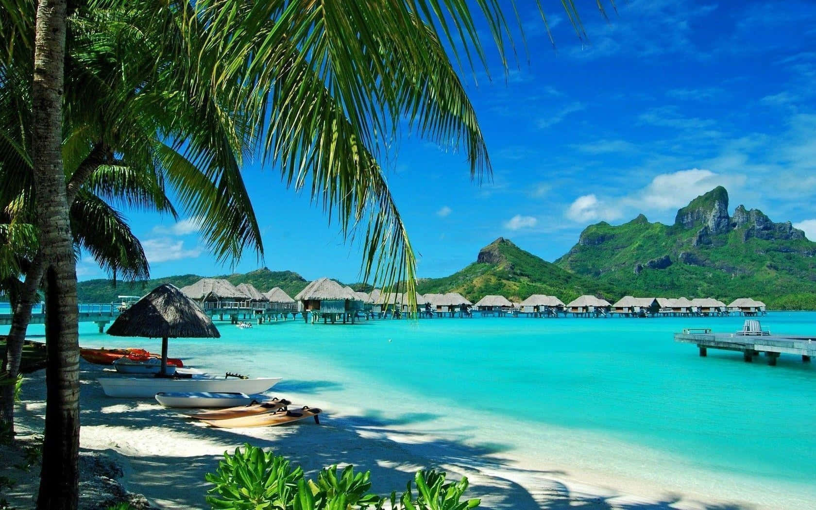 A Beach With Palm Trees And A Beach Hut