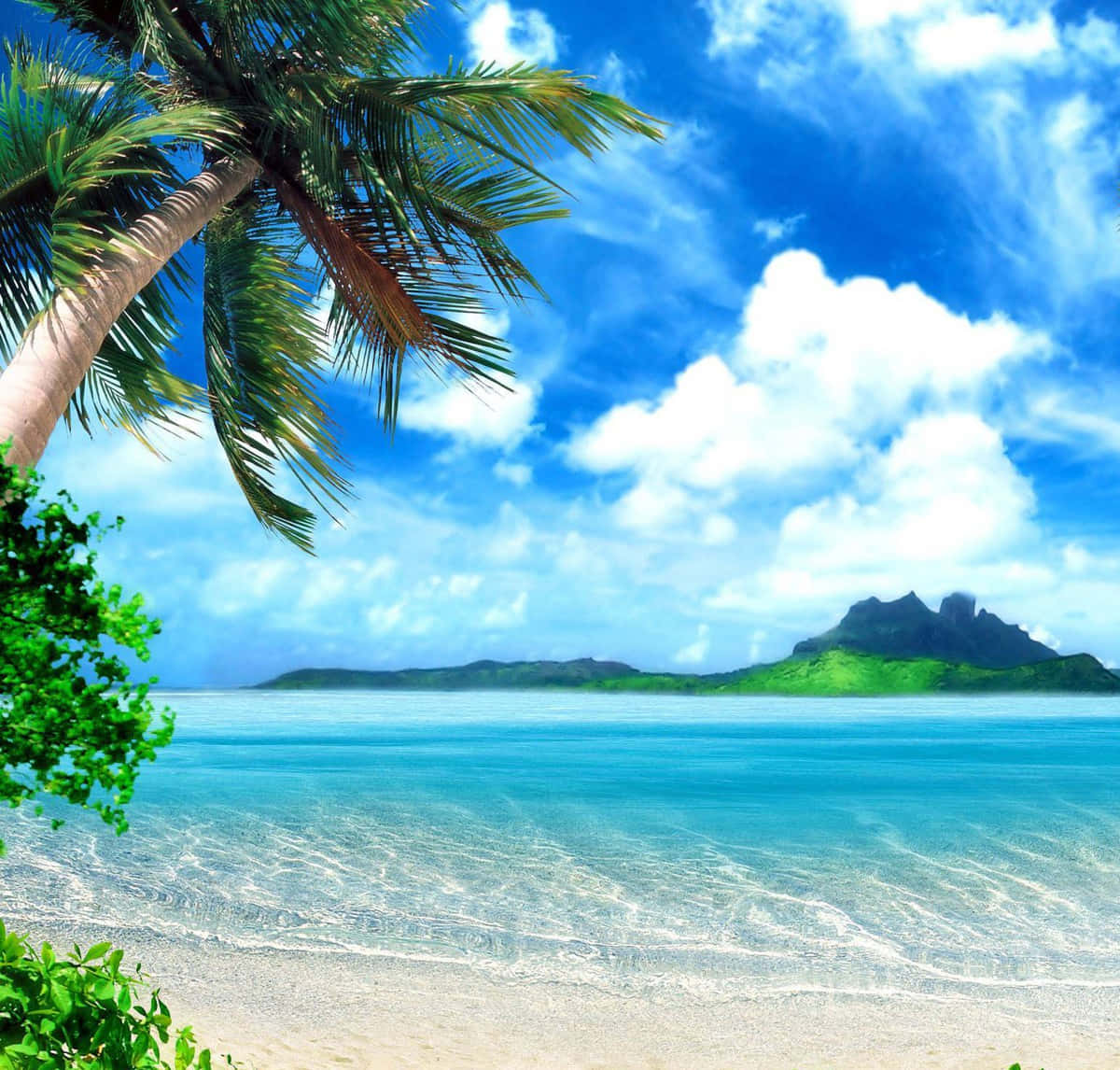 A Beach With Palm Trees And A Blue Sky Background
