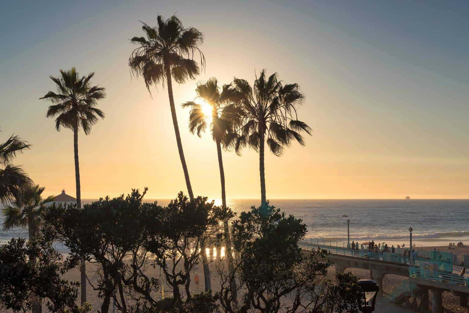 A Beach With Palm Trees And A Pier Background