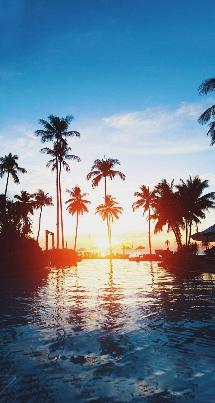 A Beach With Palm Trees And A Pool At Sunset Background