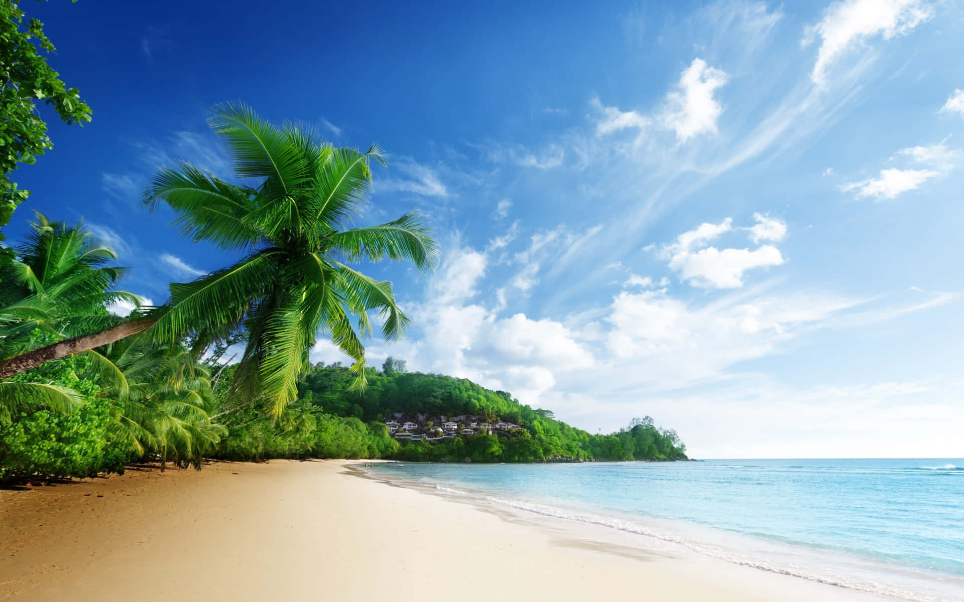 A Beach With Palm Trees And Blue Water