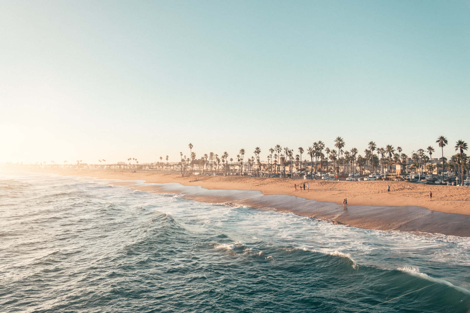 A Beach With Palm Trees And People On It Background