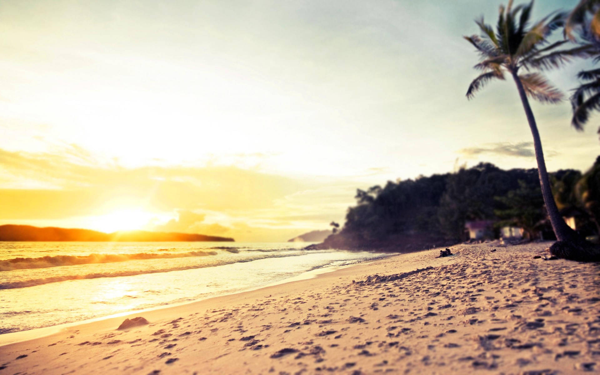 A Beach With Palm Trees And The Sun Setting