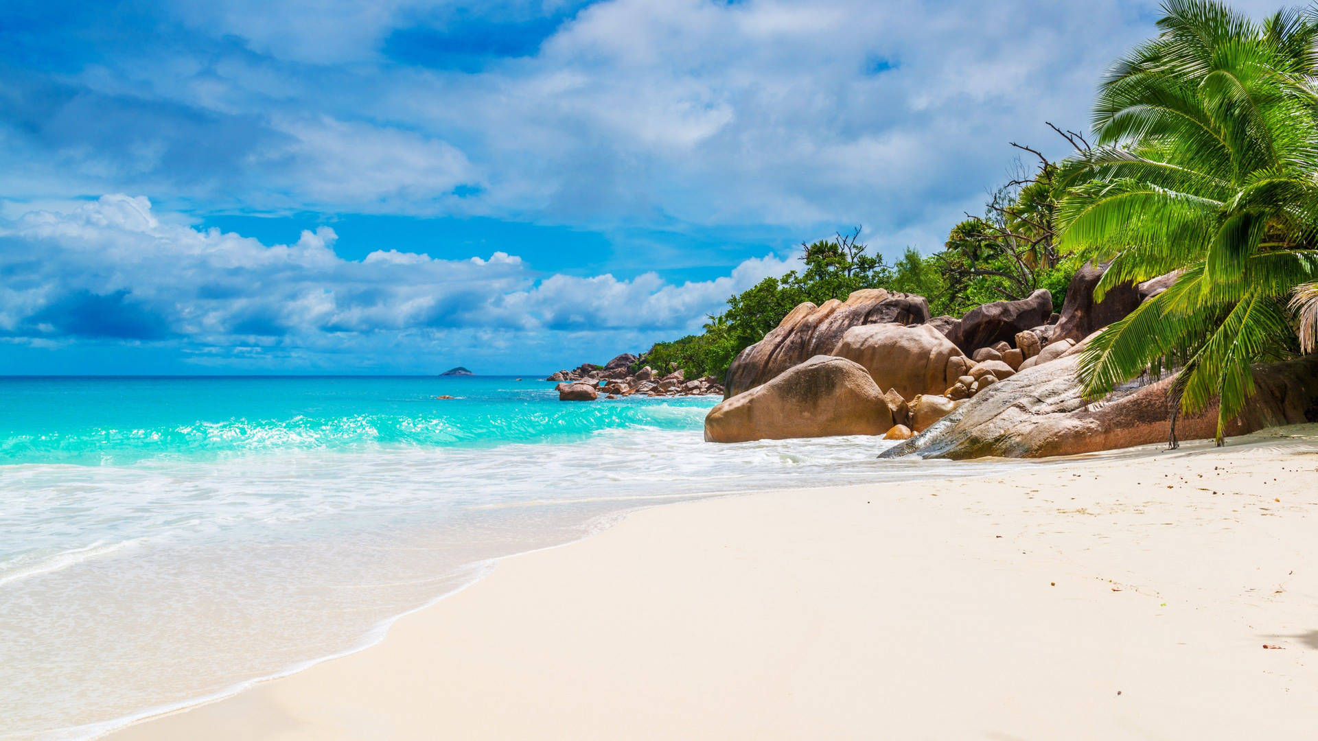 A Beach With Palm Trees And Water Background