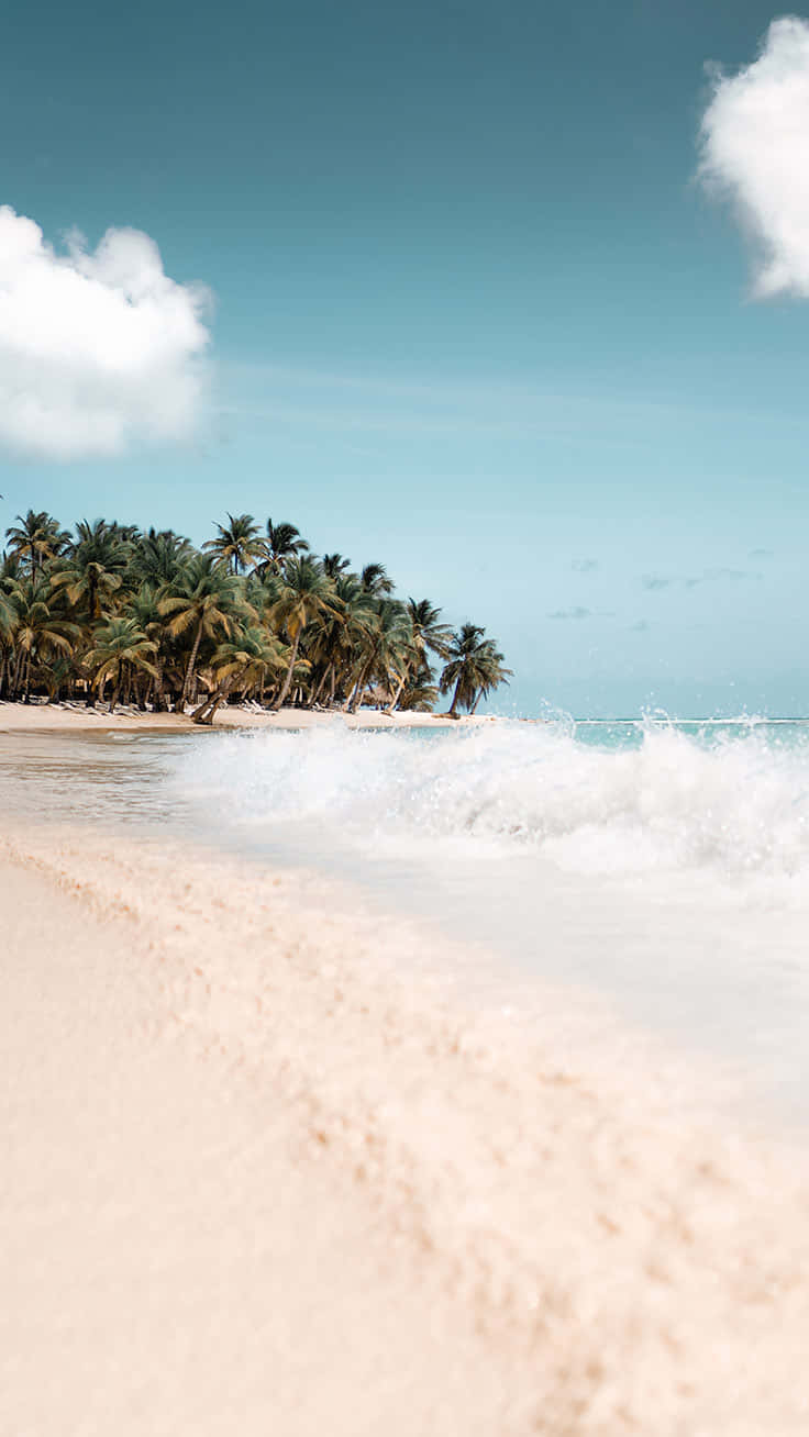 A Beach With Palm Trees And Waves Background