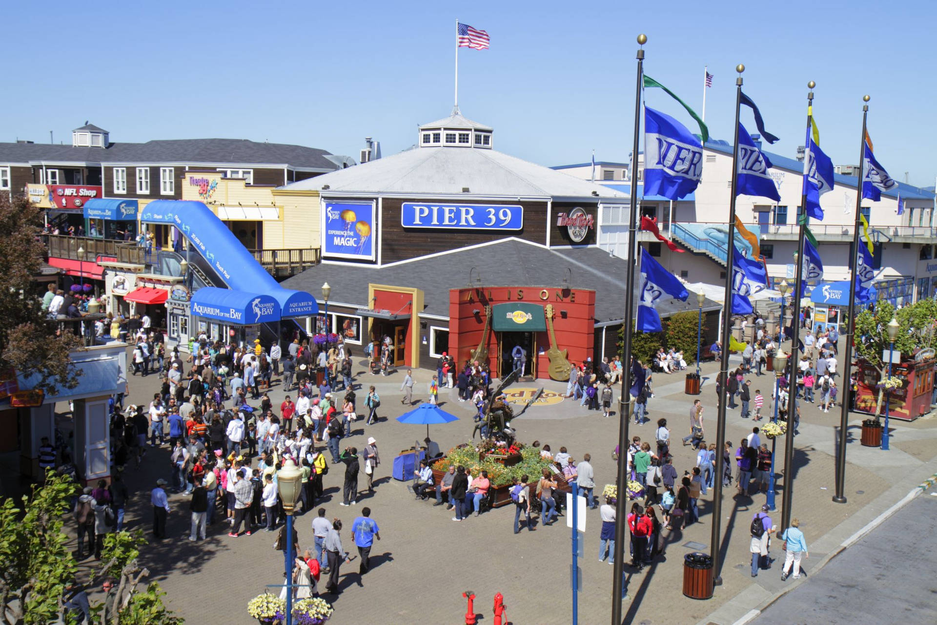 A Beautiful Aerial View Of Fisherman's Wharf, Pier 39