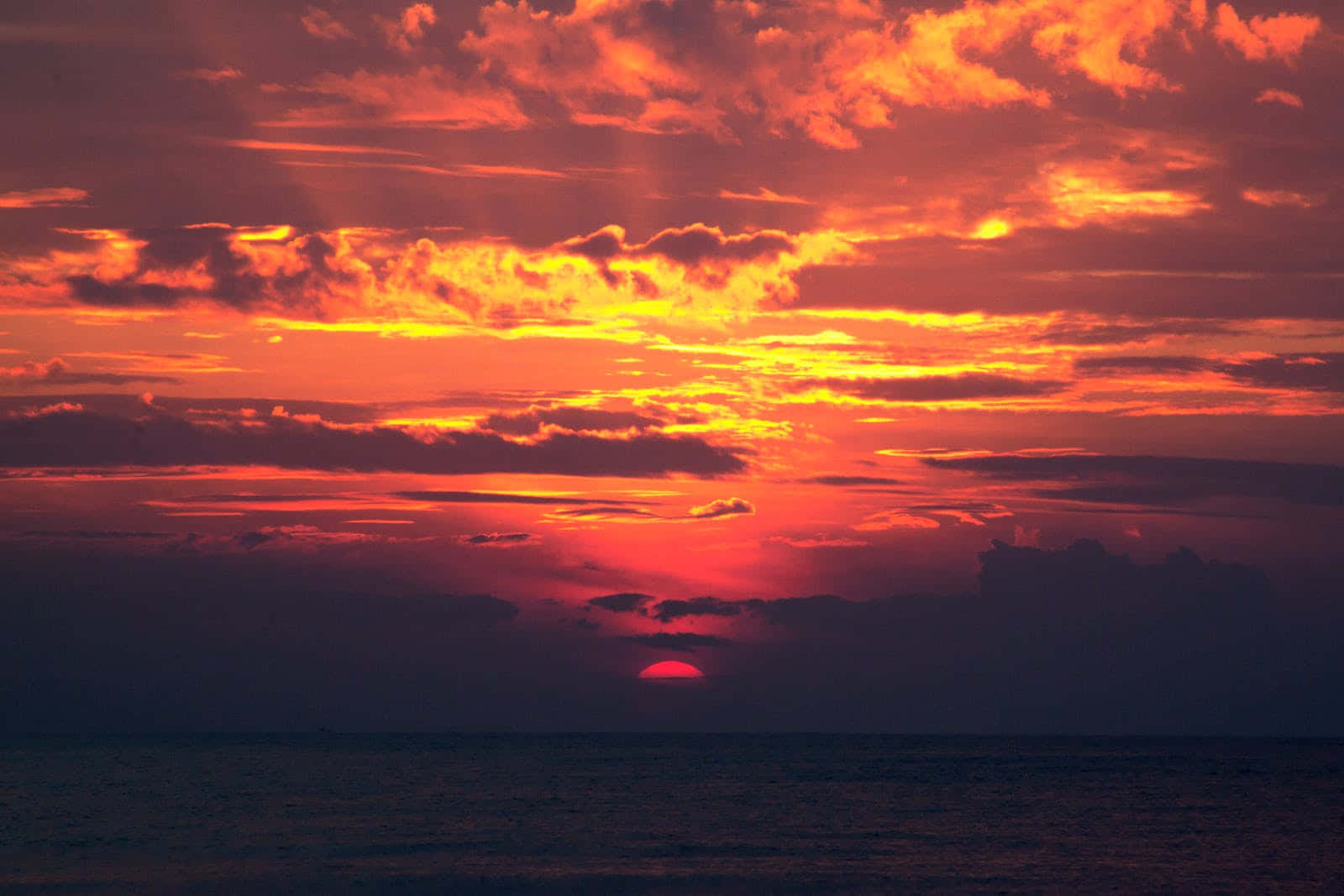 A Beautiful And Calm Silhoutte Of A Tree Against A Bright Orange Sunset.