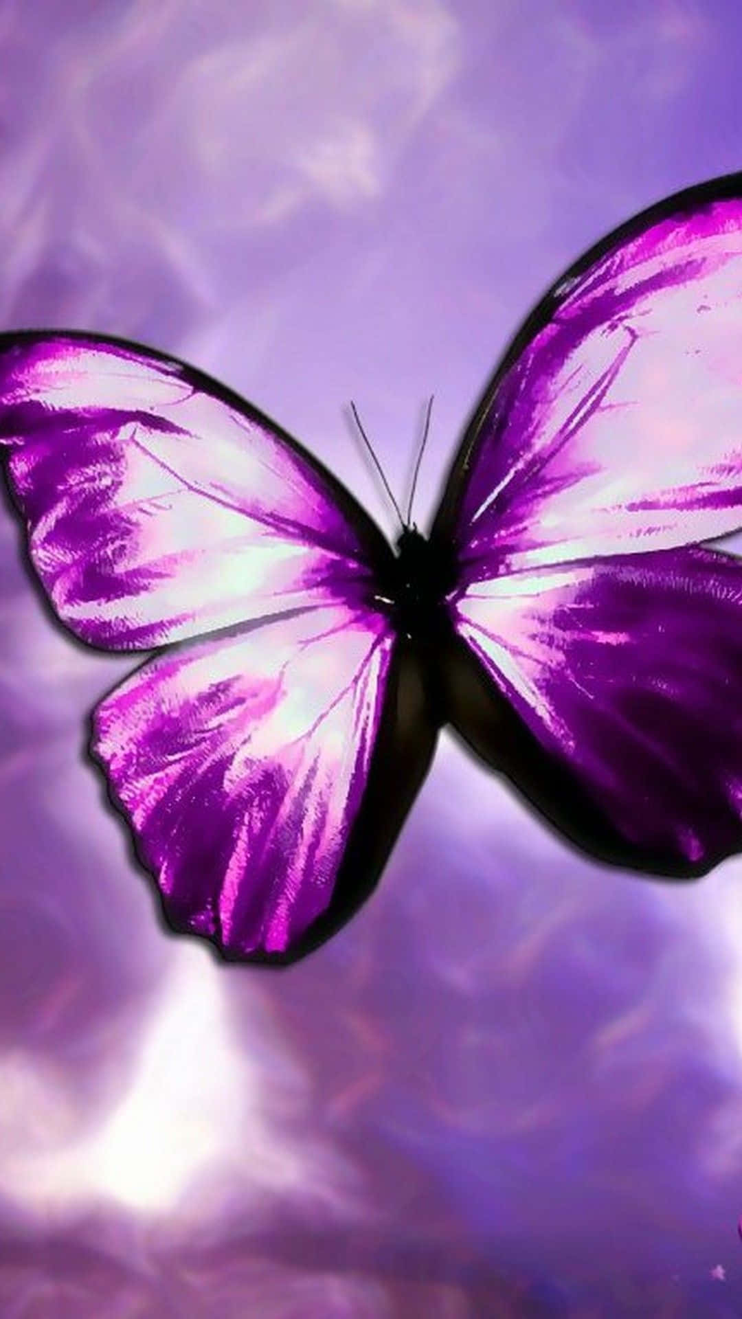 A Beautiful And Colorful Purple Butterfly Background