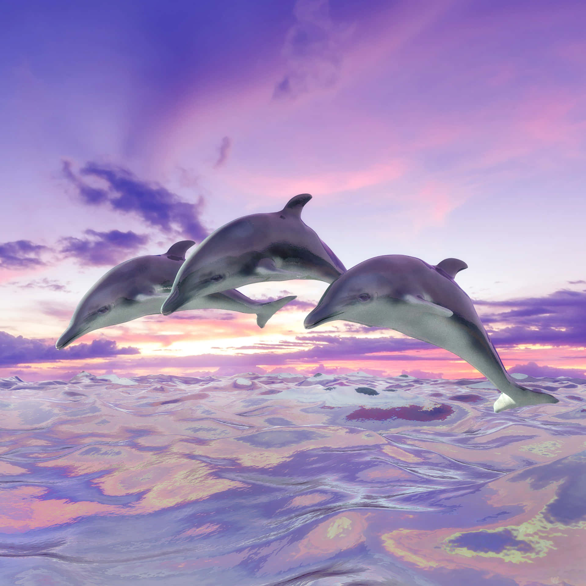 A Beautiful And Playful Pink Dolphin Background