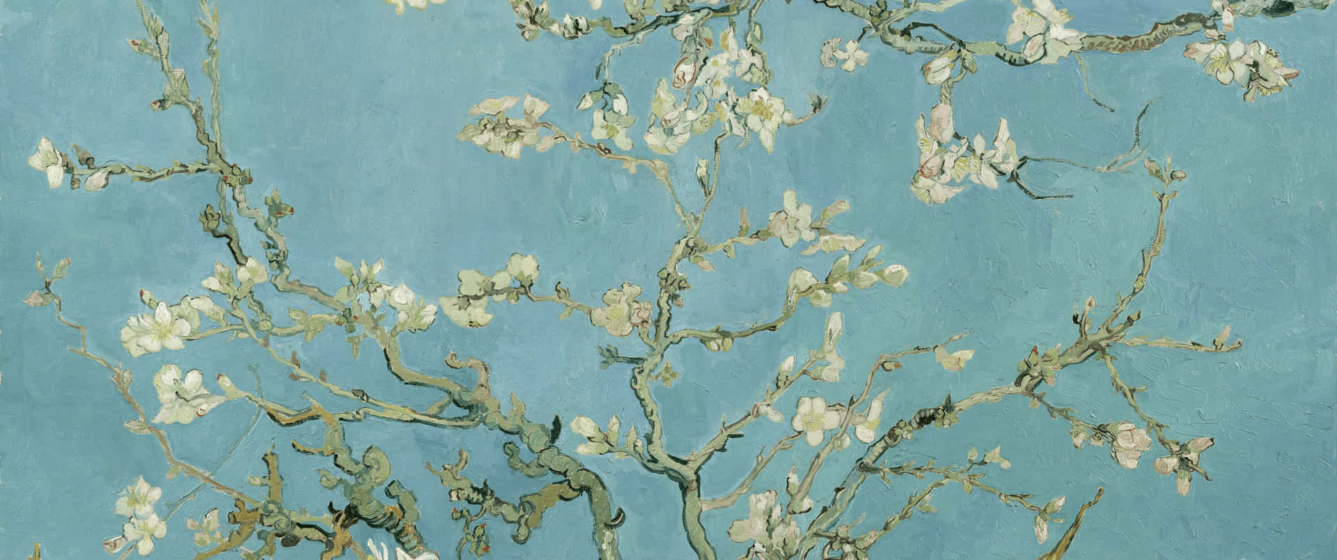 A Beautiful And Serene Painting Of Almond Blossoms By Vincent Van Gogh Background