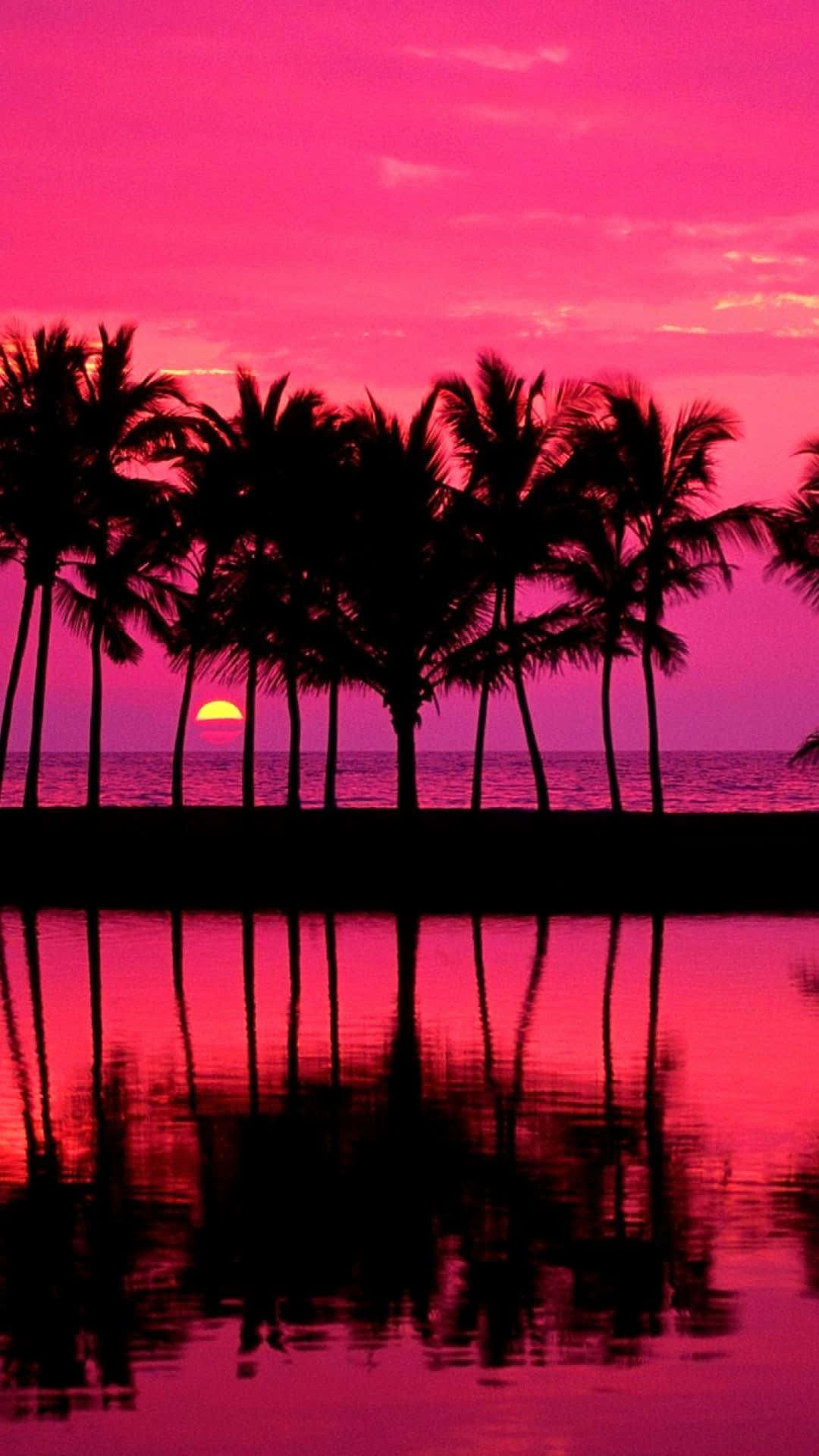 A Beautiful And Vibrant Palm Tree Standing Tall In A Picturesque Beach Setting. Background