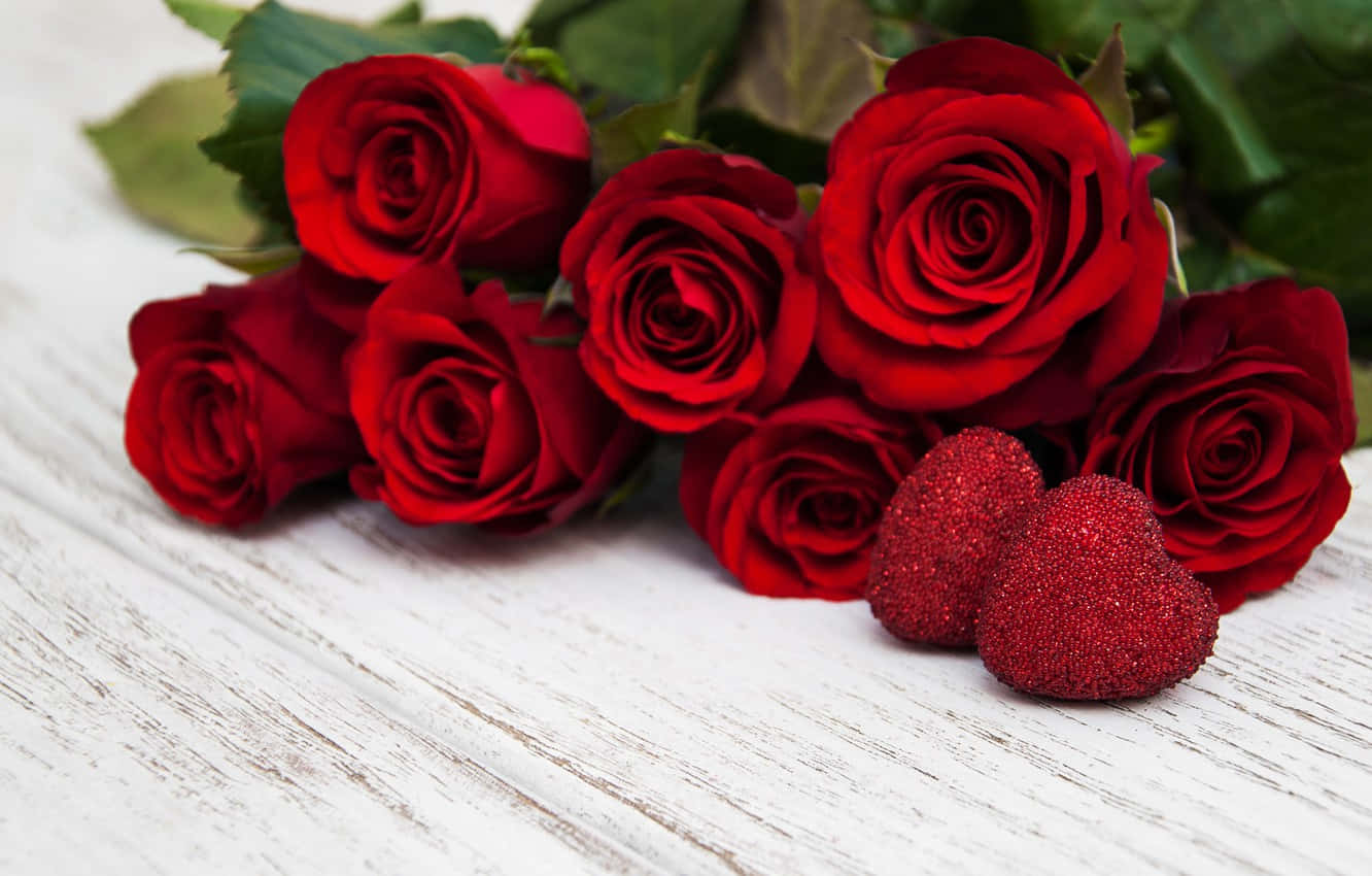 A Beautiful And Vibrant Rose From Nature Background